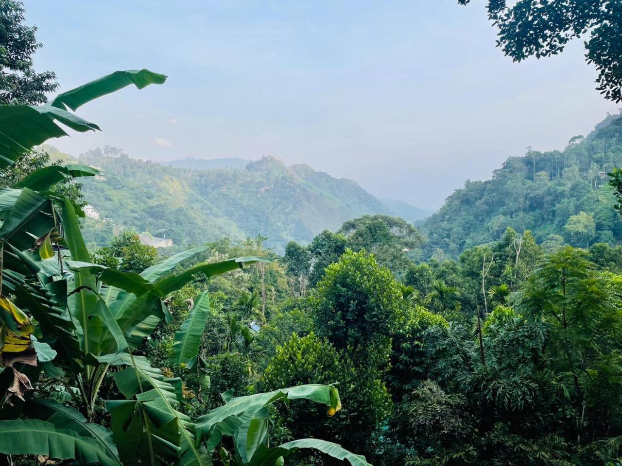 Mid Scenery Home Stay Ella Ngoại thất bức ảnh