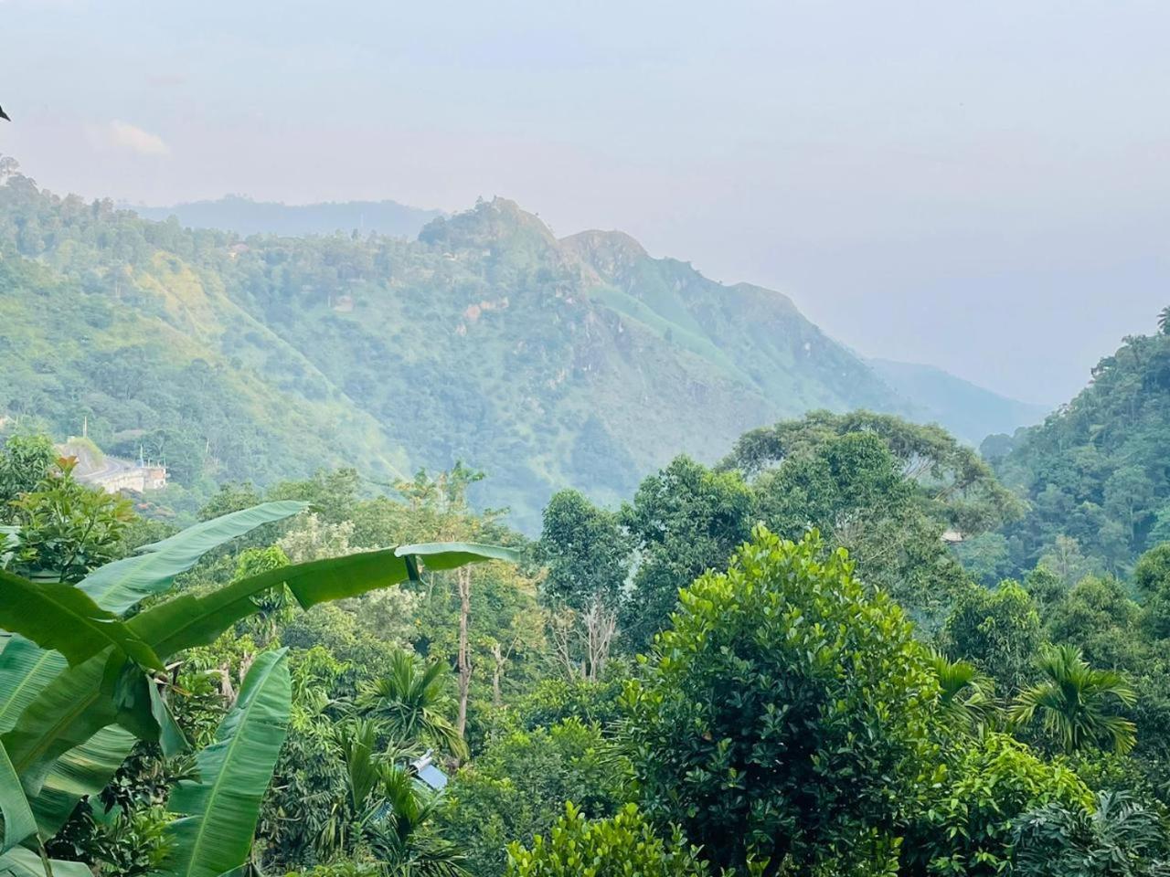 Mid Scenery Home Stay Ella Ngoại thất bức ảnh