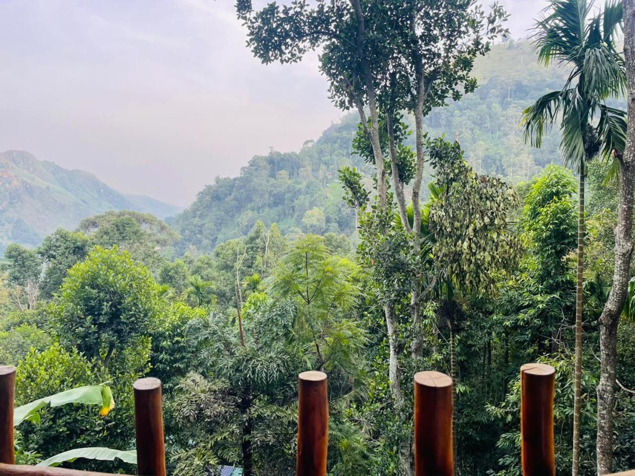 Mid Scenery Home Stay Ella Ngoại thất bức ảnh