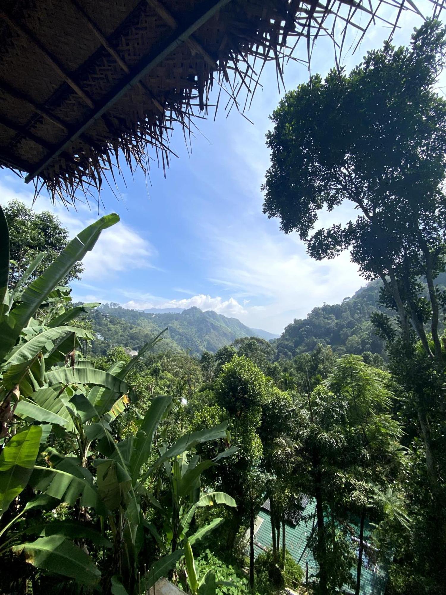 Mid Scenery Home Stay Ella Ngoại thất bức ảnh